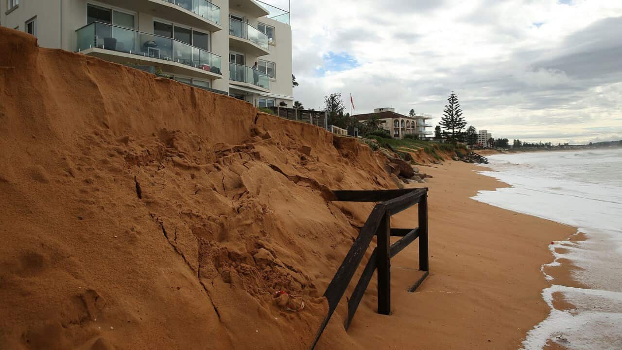 Climate change, United Nations,