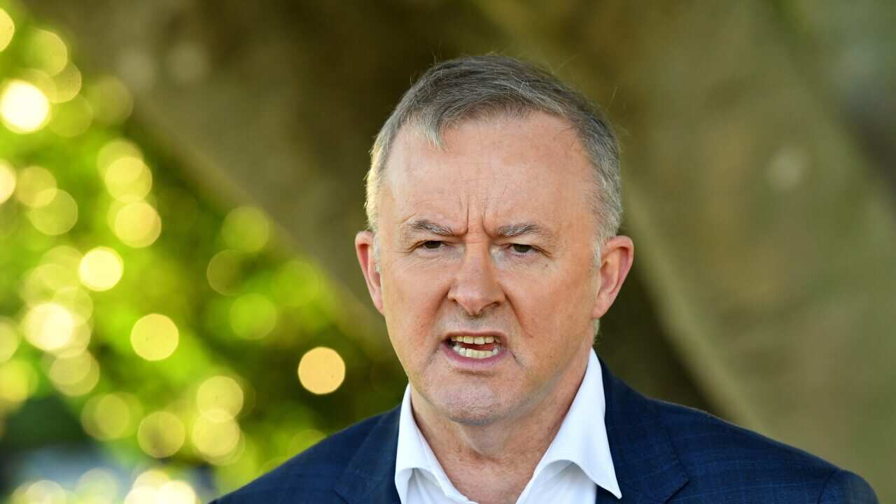 Federal Labor leader Anthony Albanese