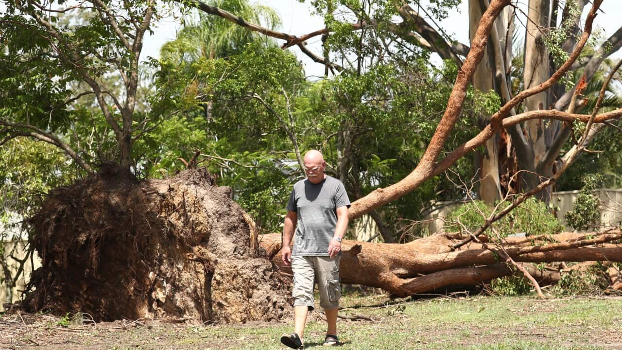 THUNDERSTORM QLD CLEAN UP