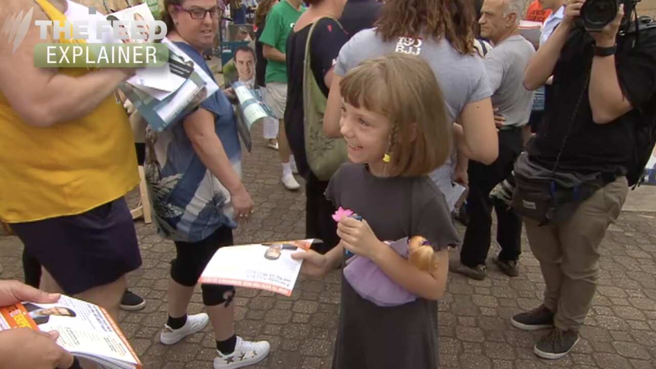 Politically charged little girl