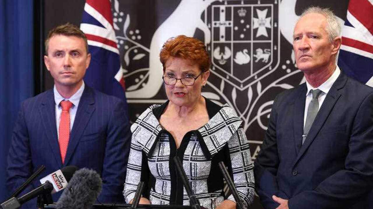 Pauline Hanson faces media.