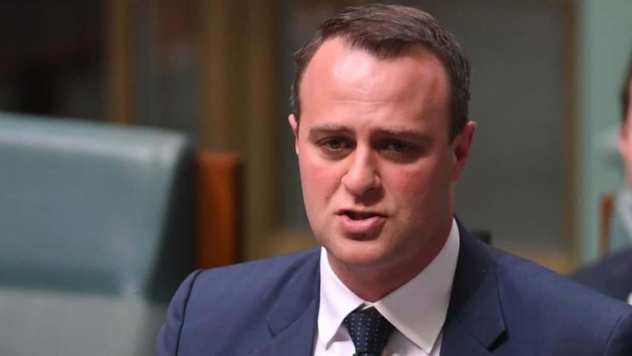 Liberal MP Tim Wilson.