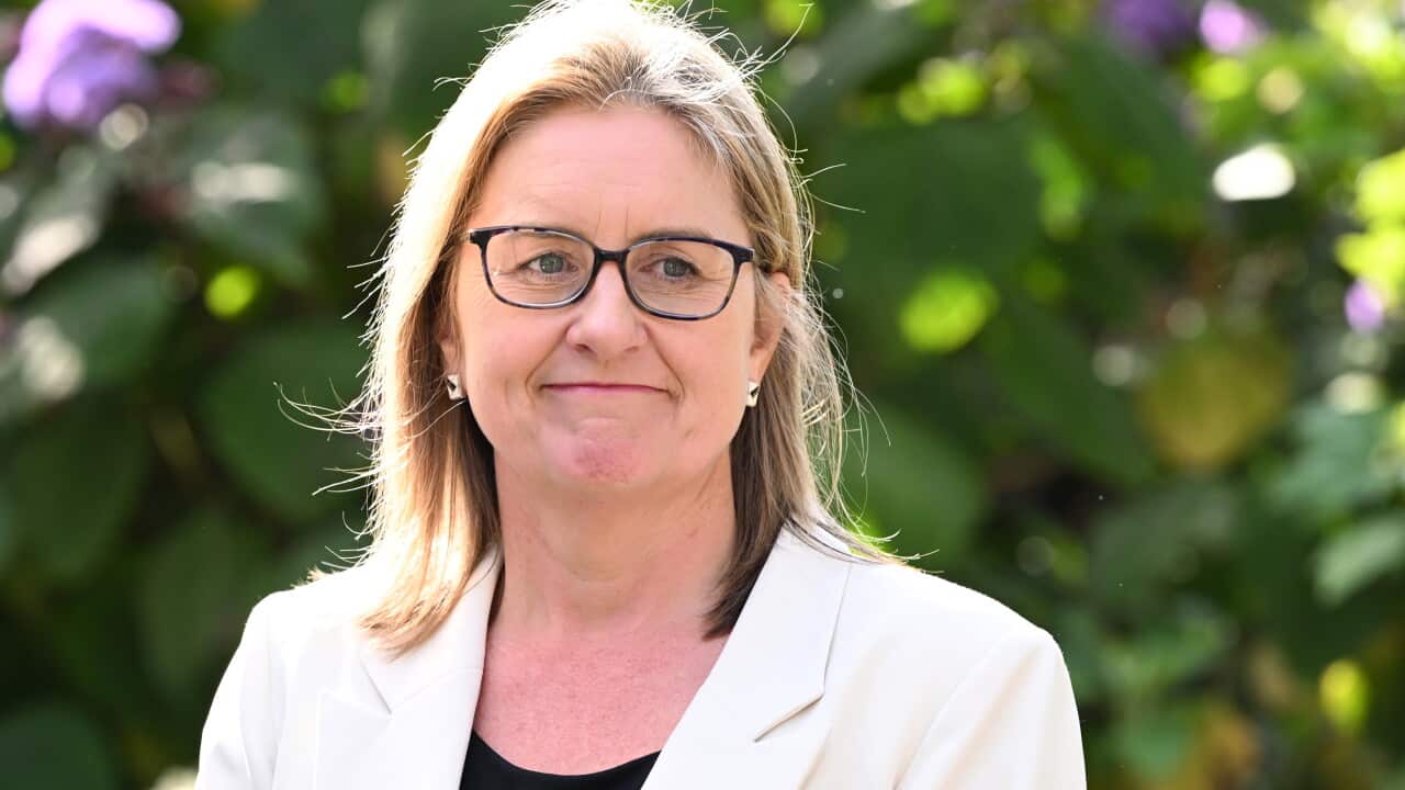 JACINTA ALLAN PRESSER