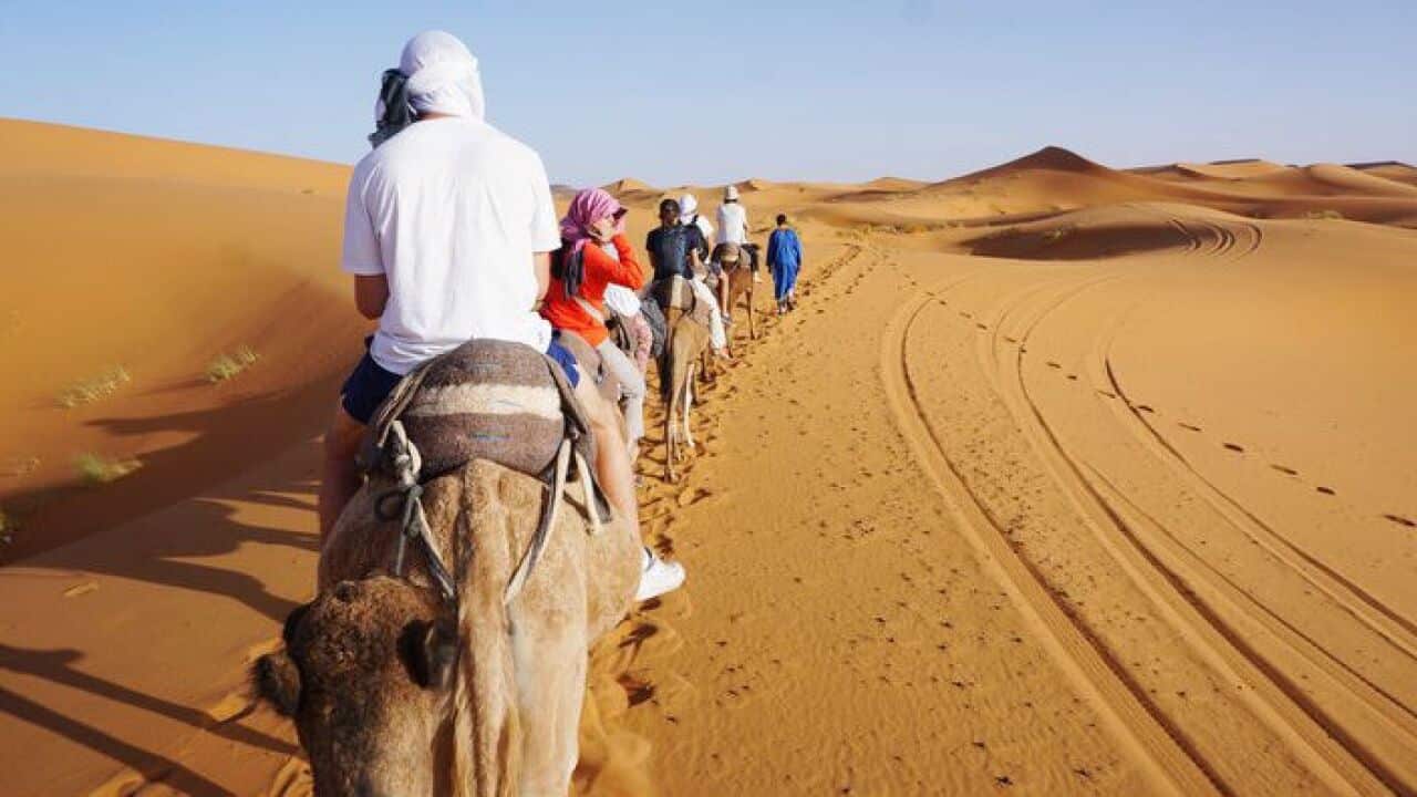 Camel ride