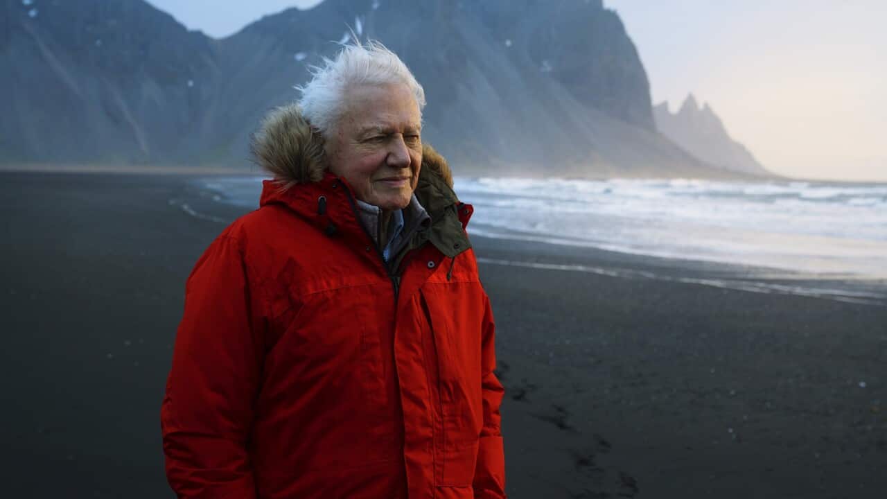 David Attenborough in Iceland. Attenborough narrates a new seven-part documentary series premiering Saturday on BBC America, AMC, IFC and SundanceTV. (Alex Board/BBCAmerica via AP)
