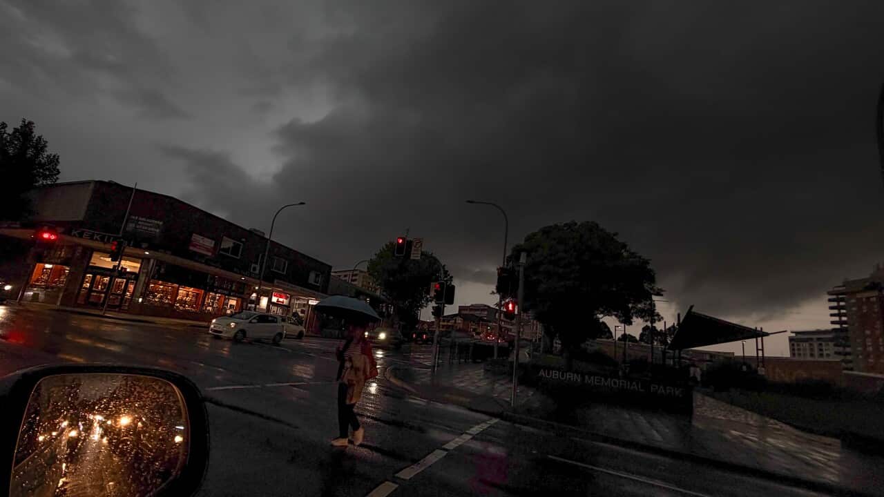 Australian Prime Minister Anthony Albanese speaks to media during a press conference (AAP).png