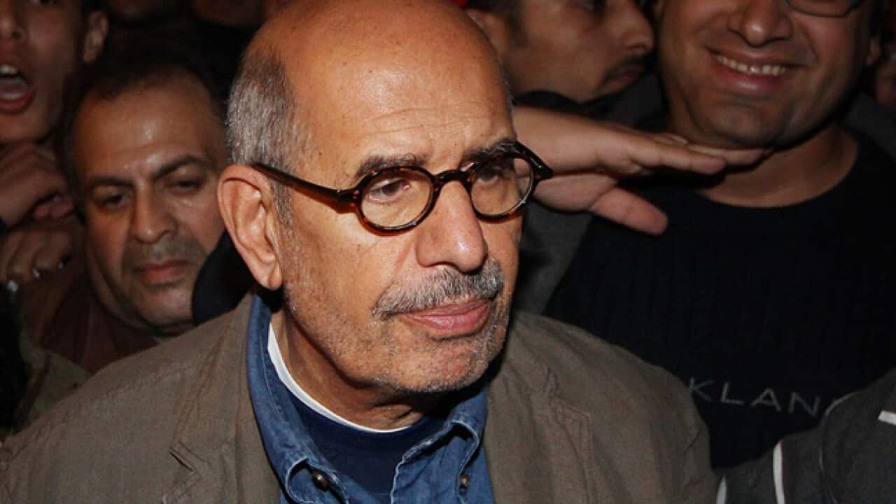 elbaradei_110131_B_getty_1683479612