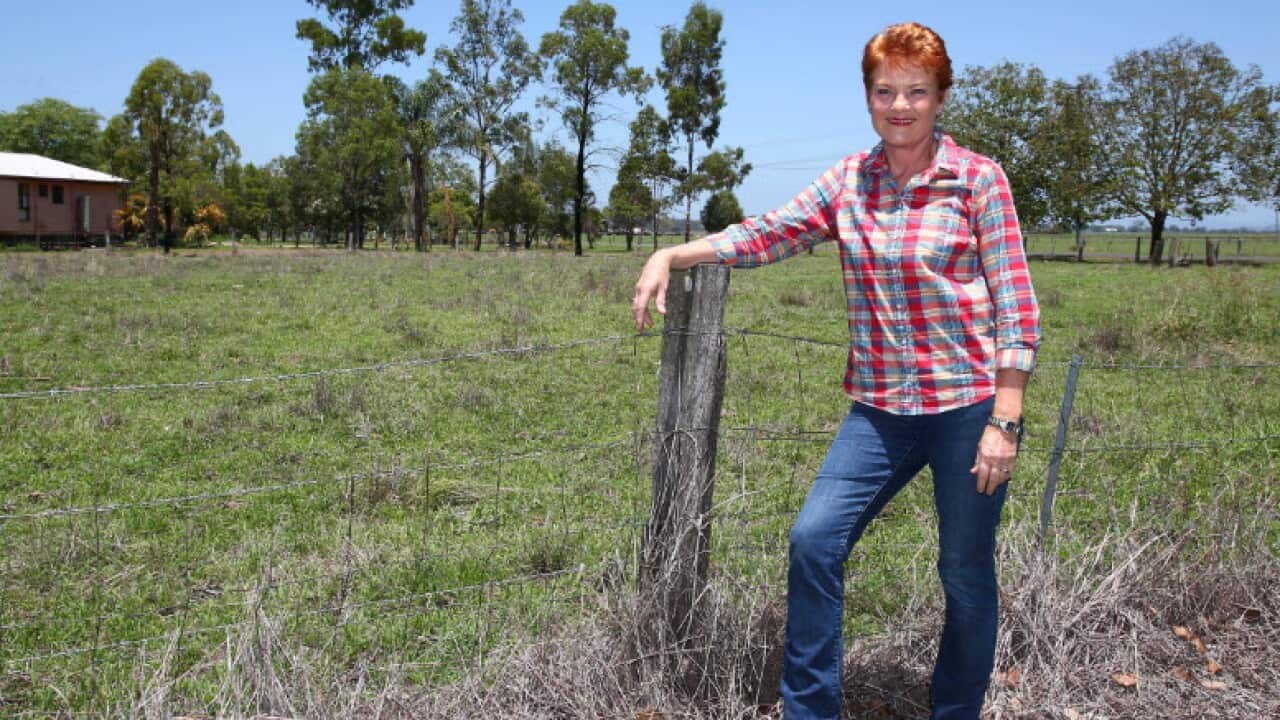 Pauline Hanson