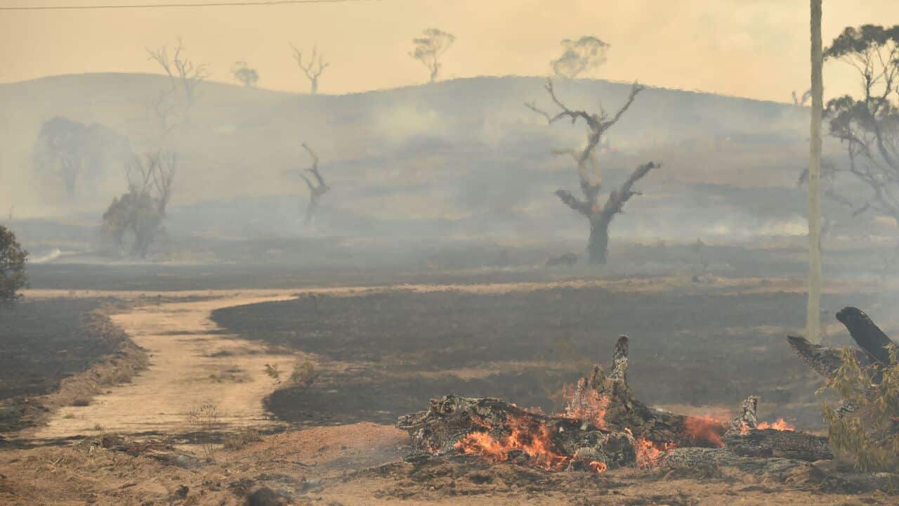 The aftermath of a bushfire near the town of Bumbalong, south of Canberra on February 2, 2020