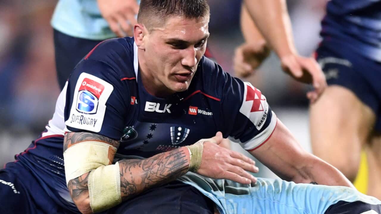Wallabies flanker Sean McMahon