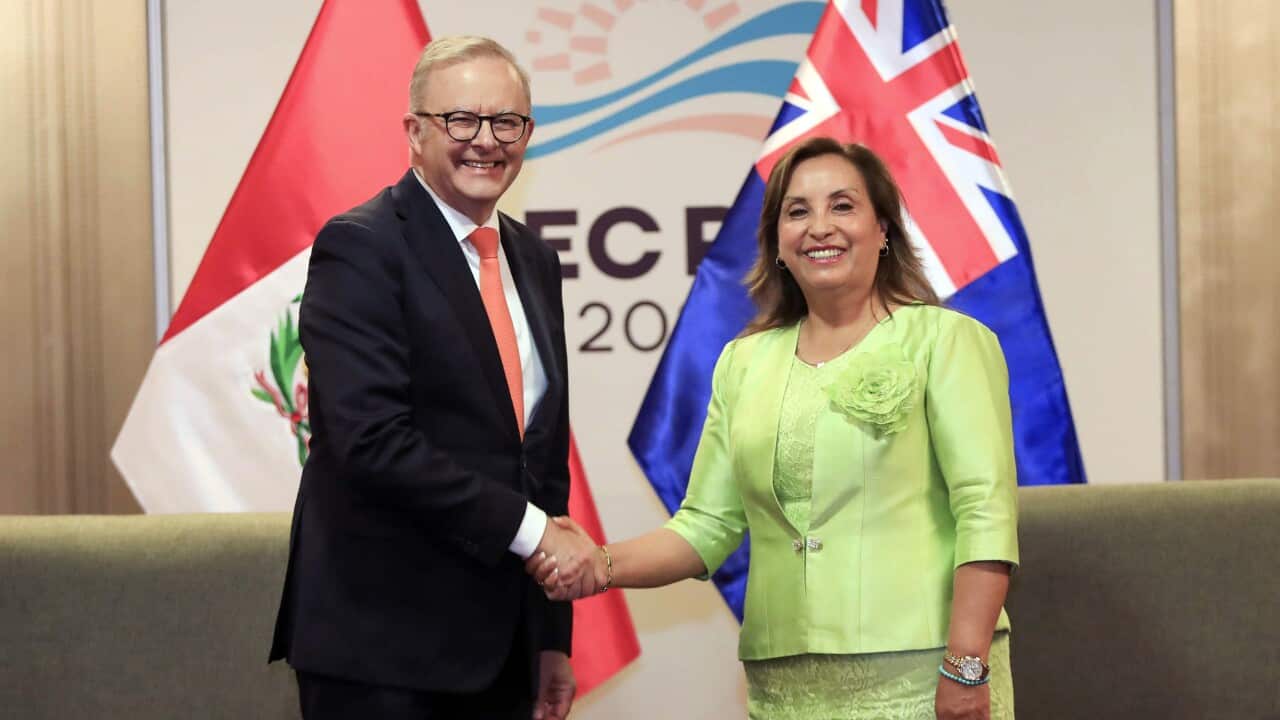 APEC Ministerial Meeting in Peru