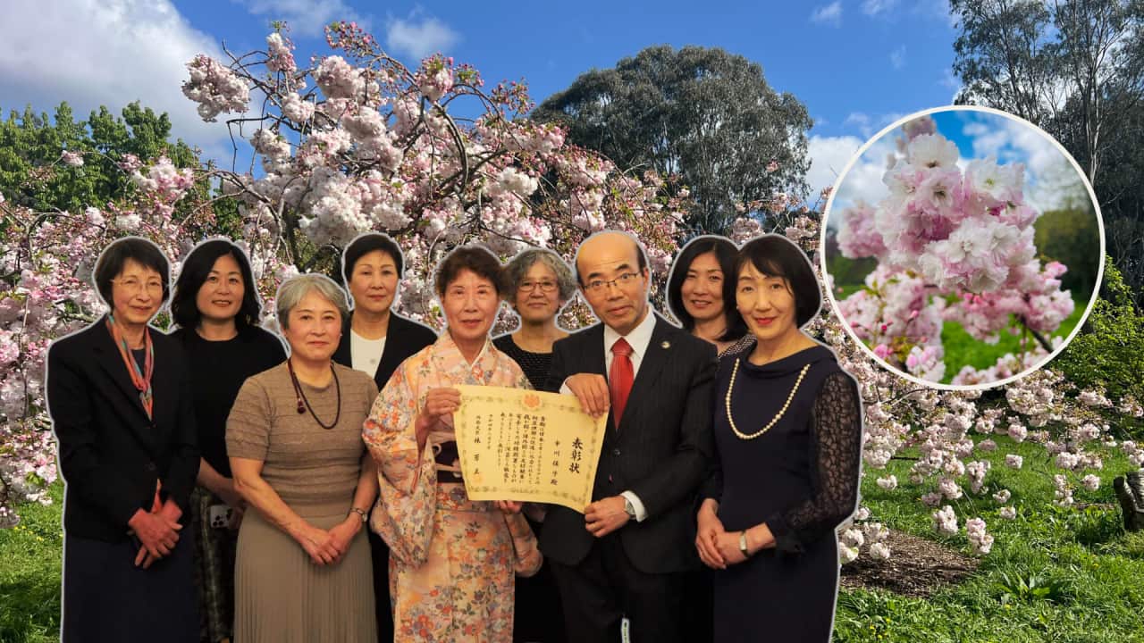 Copy of 2 WAY WEBSITE HEADER (1).png