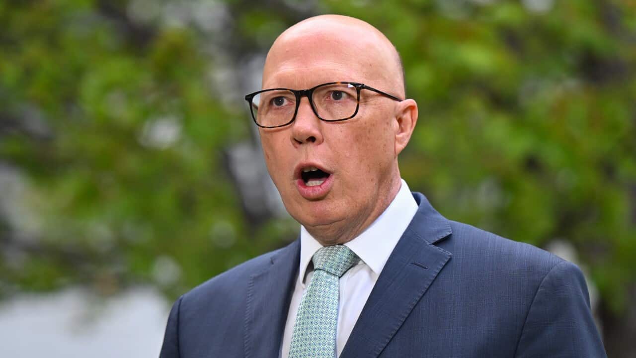 Image for read more article 'READ MORE'