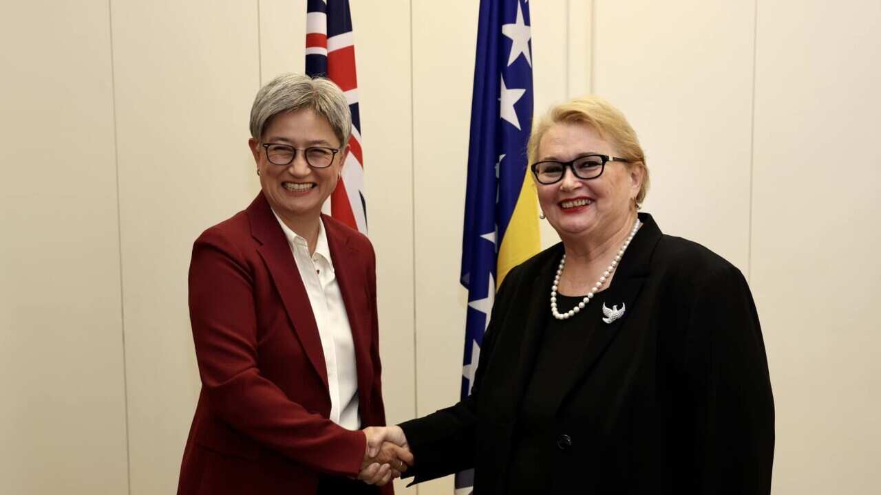 Penny Wong and Bisera Turkovic, Australian and Bosnian Forign ministers.jpg