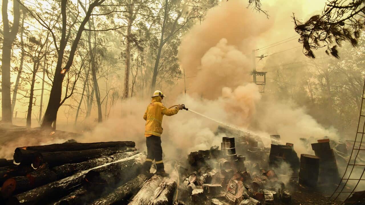 Firefighters hose down a burning woodpile during a bushfire in Werombi, 50km south west of Sydney, Friday, December 6, 2019. (AAP Image/Mick Tsikas) NO ARCHIVING