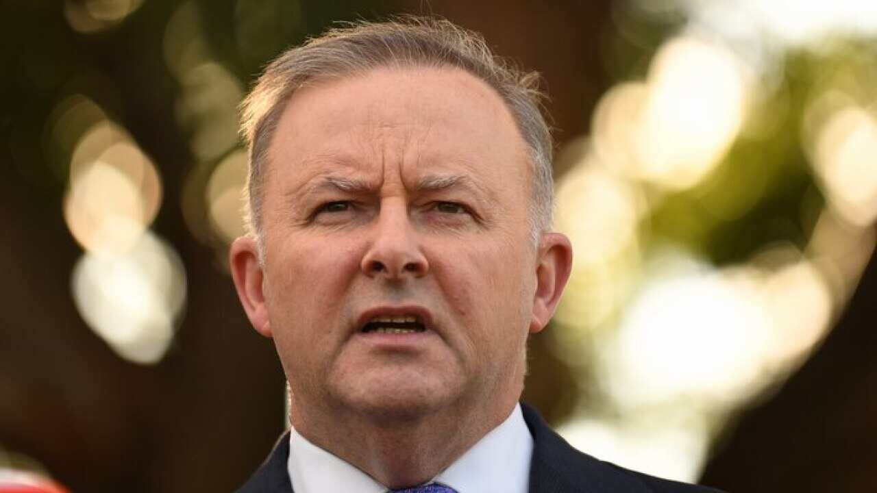 Labor leader contender and member for Grayndler, Anthony Albanese, speaks to the media in Sydney (AAP)