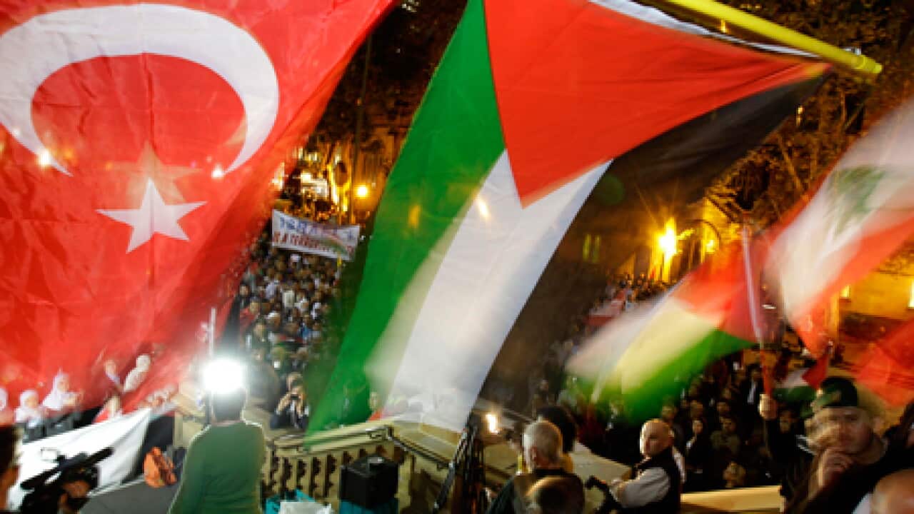 sydney_protests_gaza_L_100601_aap_1412721286