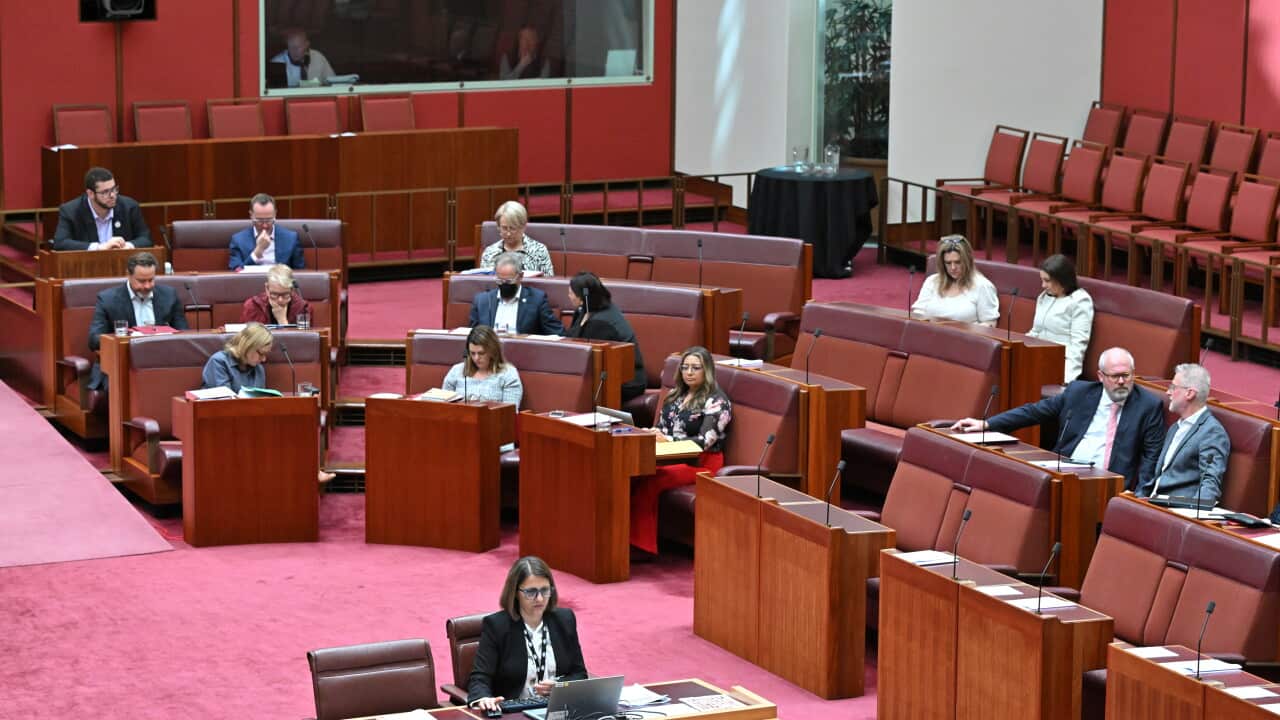 Greens senators and Jacqui Lambie Network senators Jacqui Lambie vote with Labor senators in a procedural division on the government’s Housing Bill in the Senate chamber at Parliament House in Canberra, Tuesday, September 12, 2023.