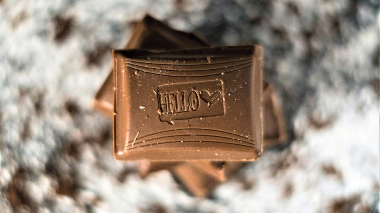 Cacao.