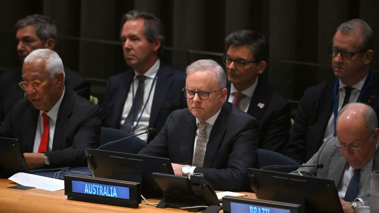 ANTHONY ALBANESE UNITED STATES VISIT