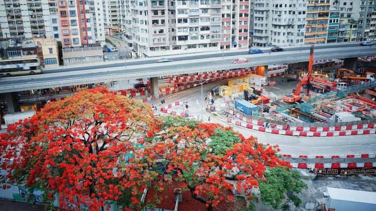 MTR Corp confirmed reports that 23 residential buildings in To Kwa Wan had sunk below the statutory limit during construction work, which began in 2012.