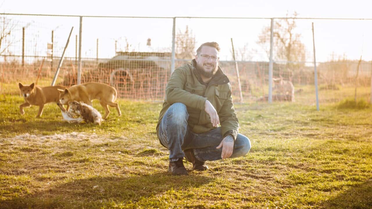 Hundezentrum Mittelfranken Dingos Gerd Schuster Carmen Schuster SBS German Daniel Salg