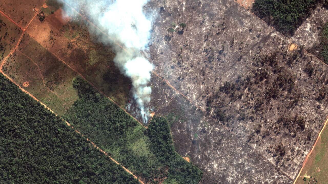 Brazil's National Institute for Space Research, a federal agency monitoring wildfires, said the country has seen a record number of wildfires this year