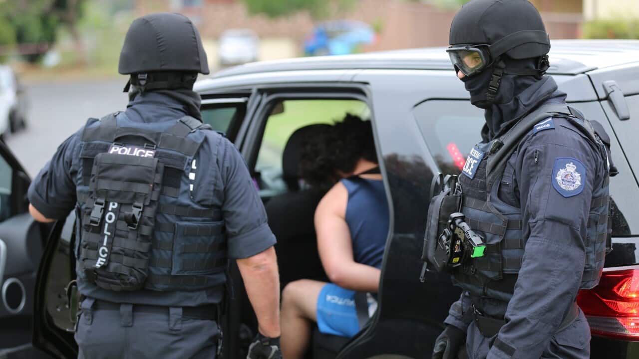 Australian Federal Police (AFP) officers during an operation at Raby in south-west Sydney