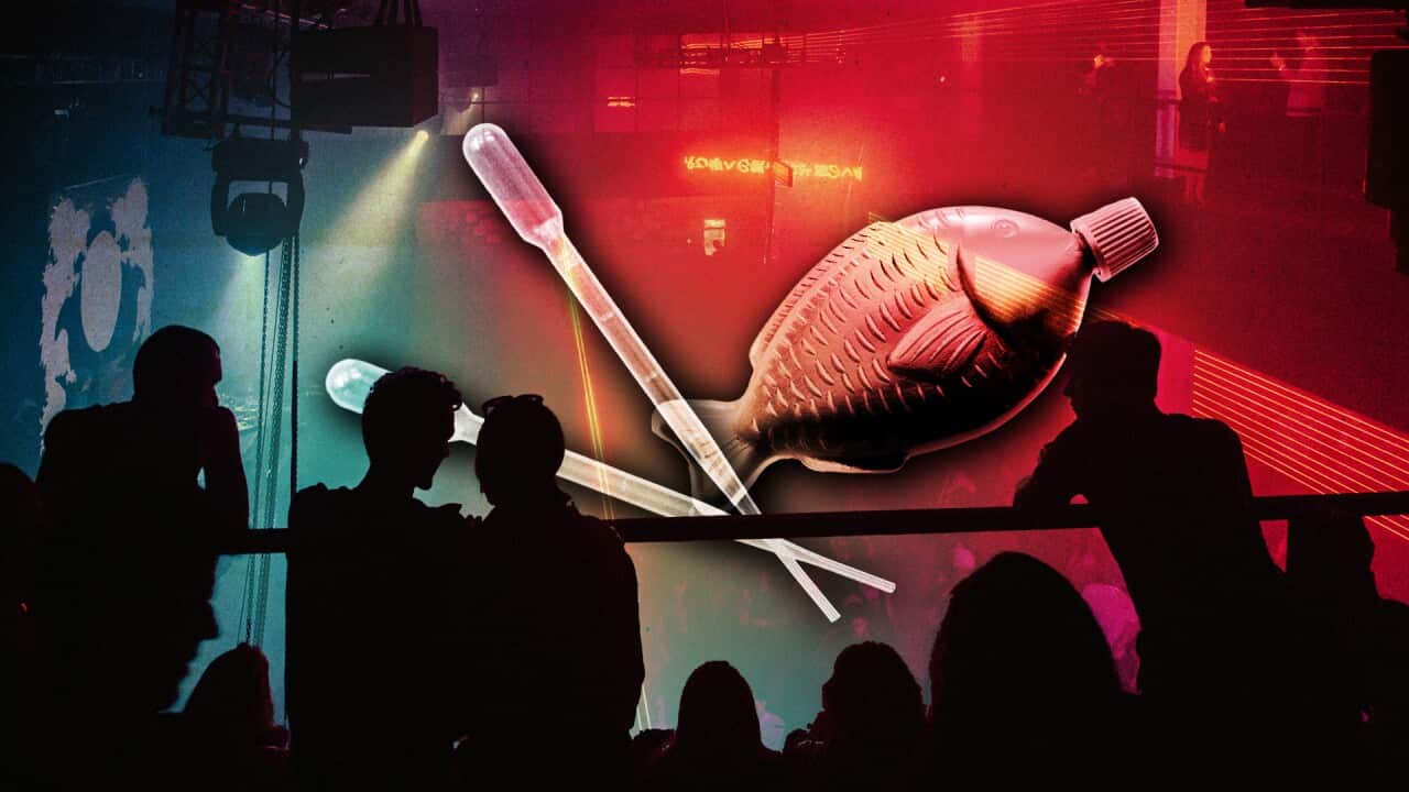 A stylised image of a plastic soy sauce fish and some droppers over a nightclub scene featuring silhouettes of people.