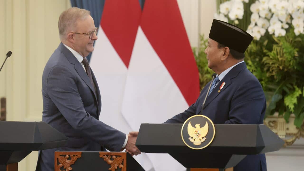 Australian Prime Minister Albanese meets Indonesian President Prabowo in Jakarta