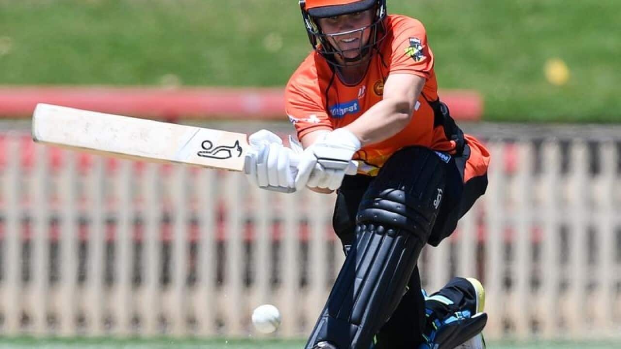 Natalie Sciver of the Scorchers