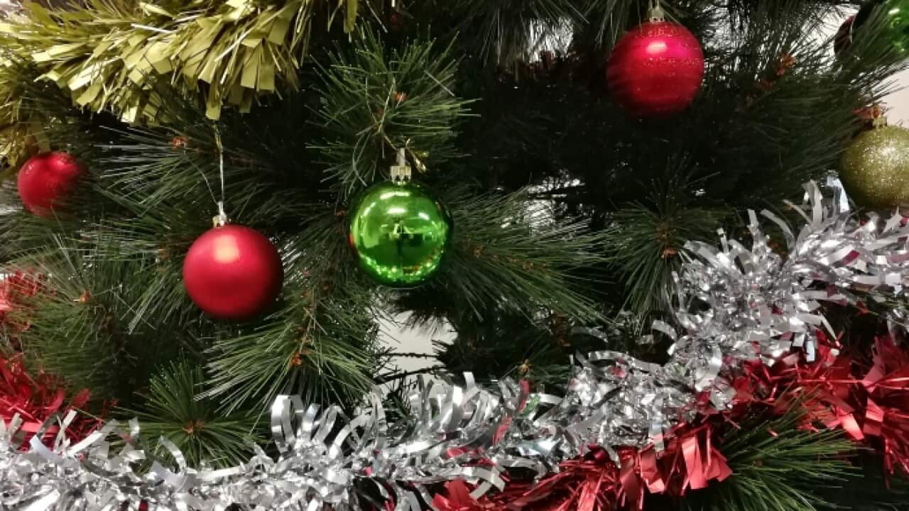 What are the origins of the Christmas tree?