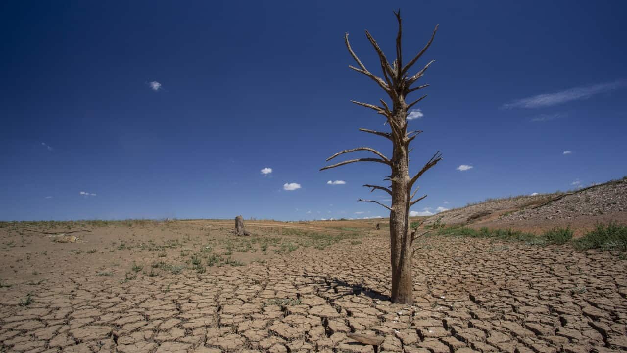 Farmers, doctors, OECD say the Government must address climate change