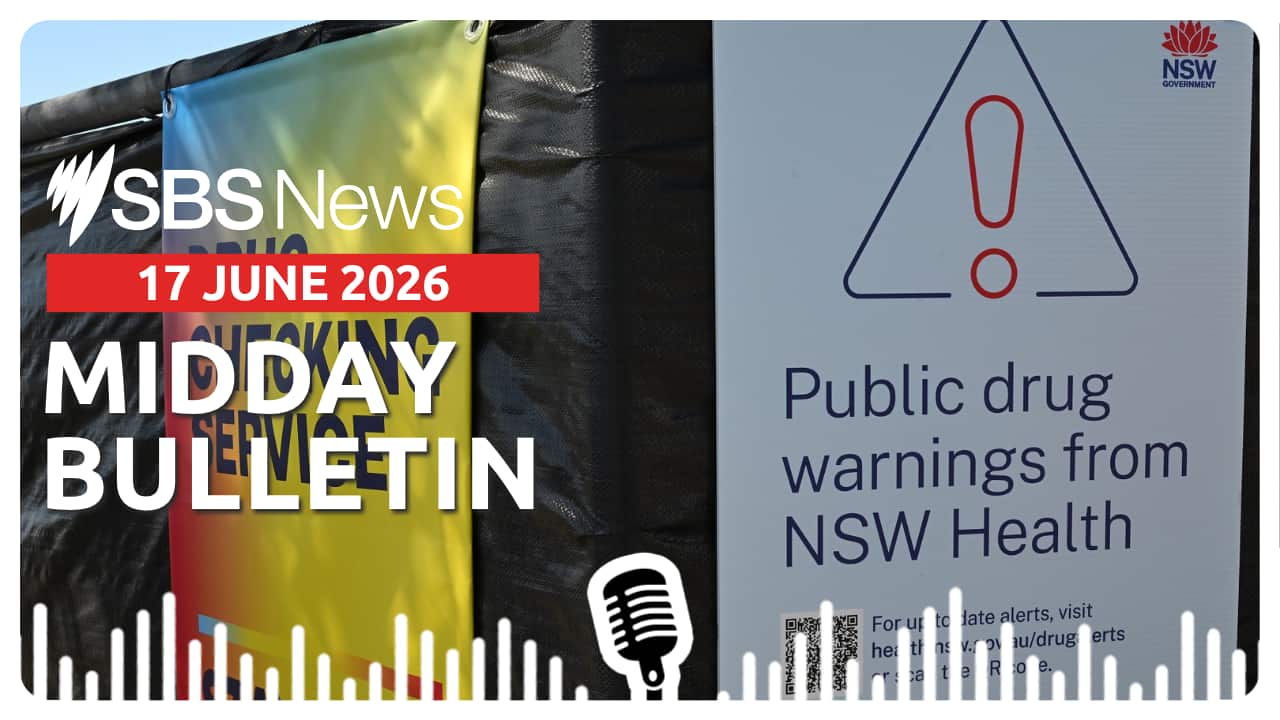MIDDAY BULLETIN.png