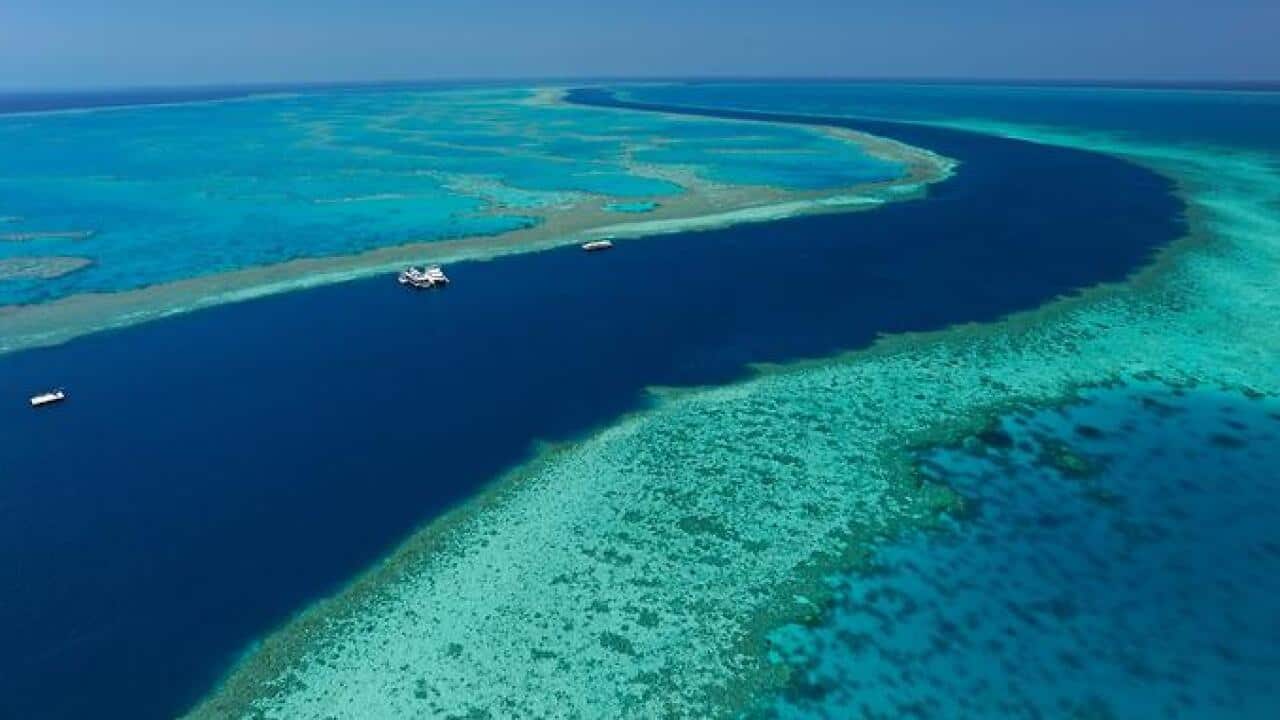 Great Barrier Reef