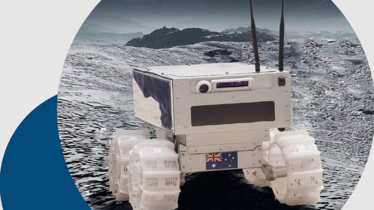 Image for read more article ''