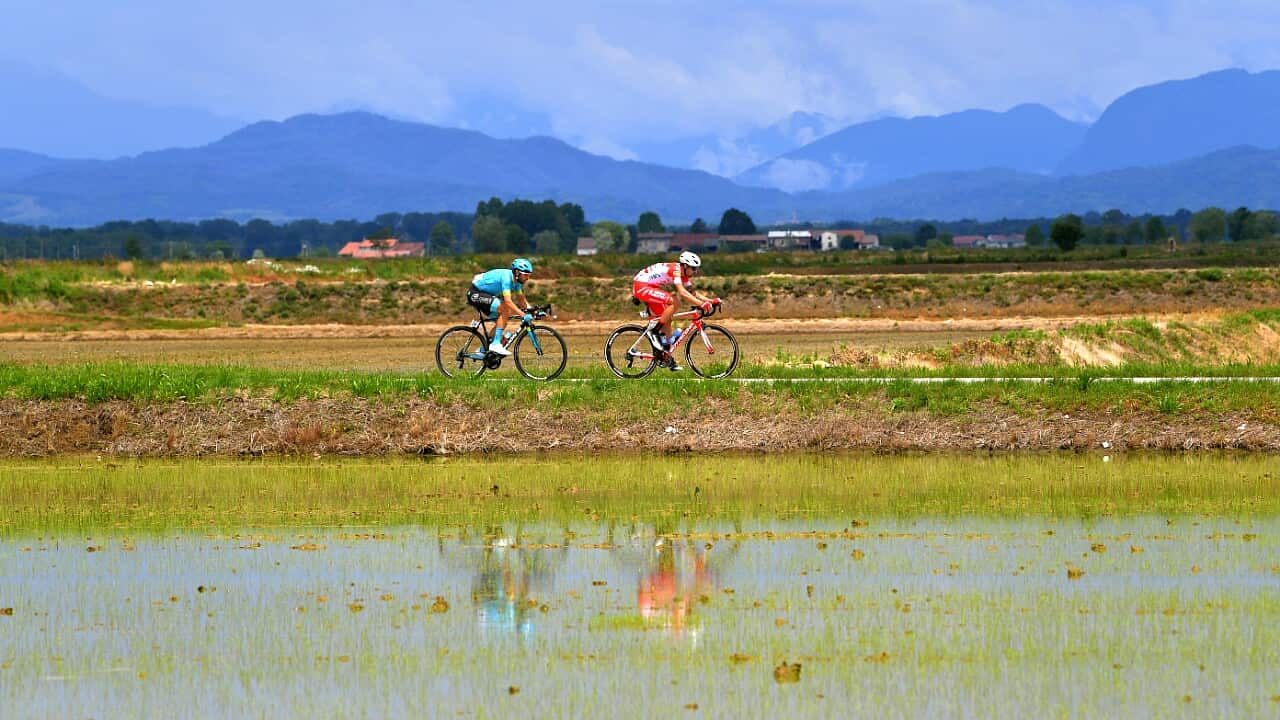 Dario Cataldo, Astana, Giro d'Italia