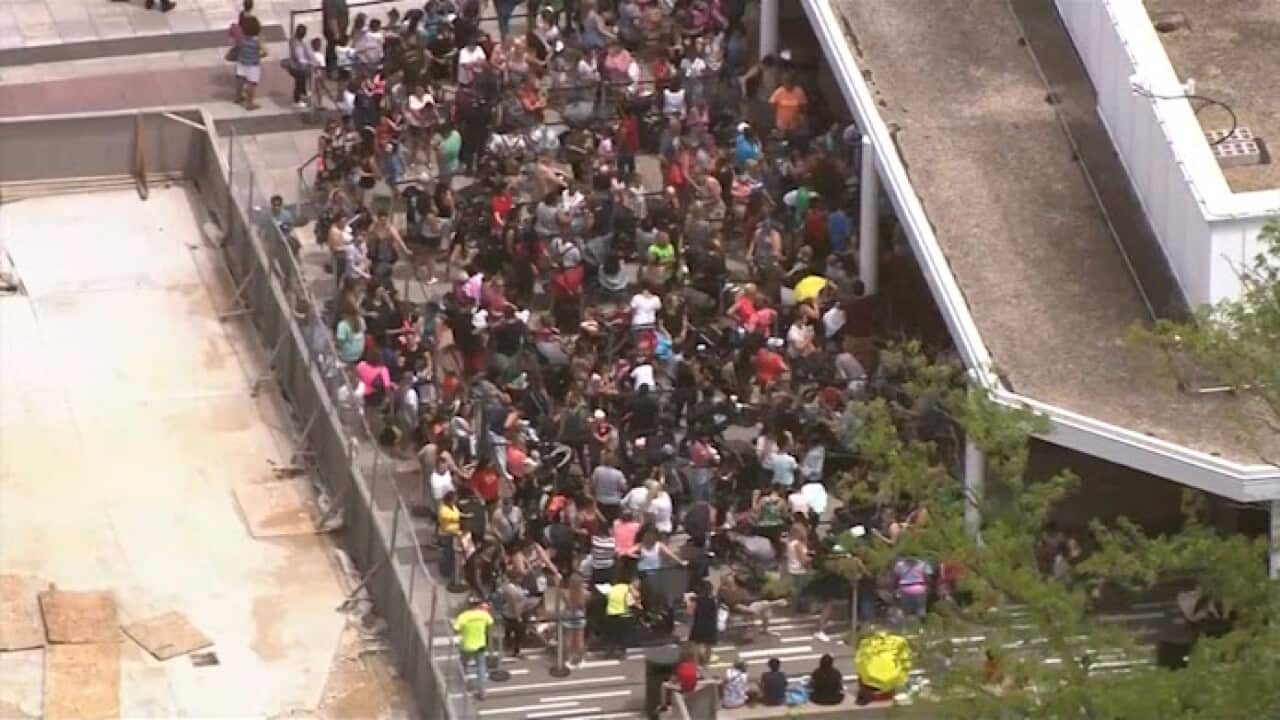 Customers lined up for up to nine hours for a cheap teddy bear.