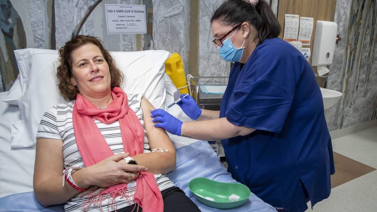 Tests begin of COVID-19 vaccine at University of Queensland