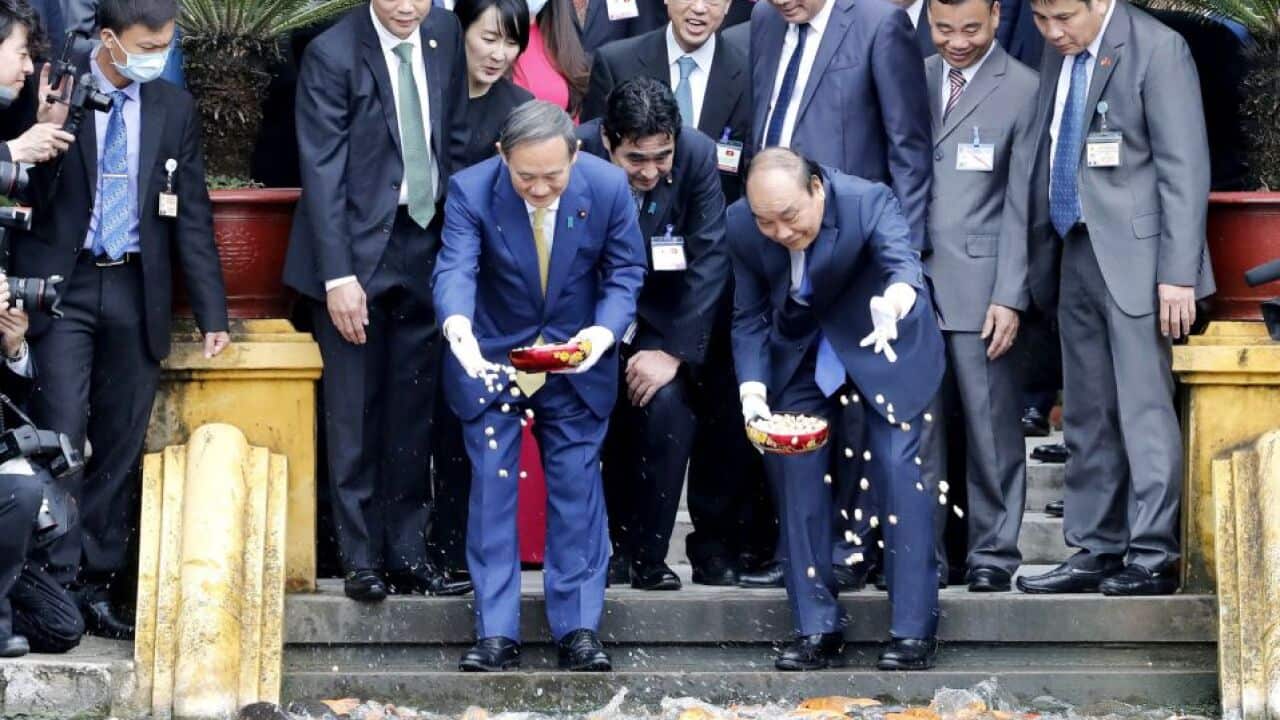 Image for read more article 'READ MORE'