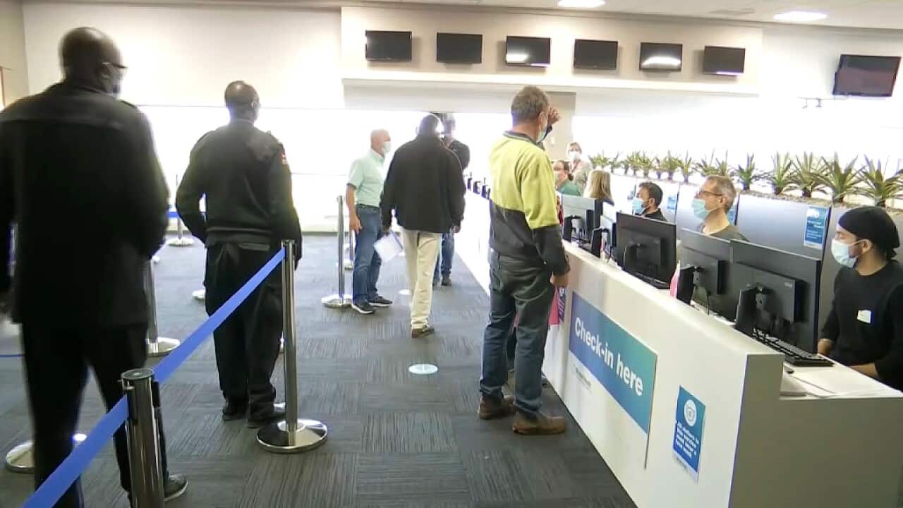 Multicultural Vaccine Hub