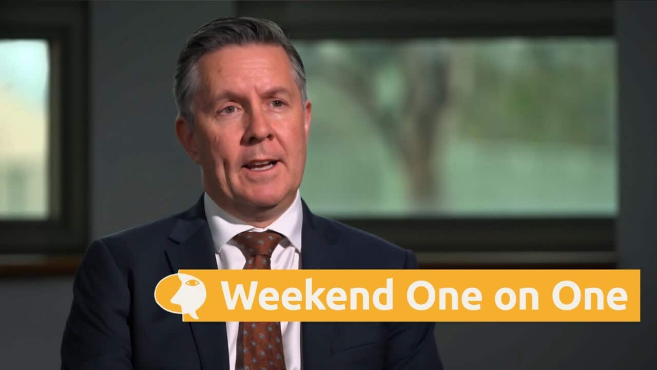 Health minister Mark Butler (SBS).jpg