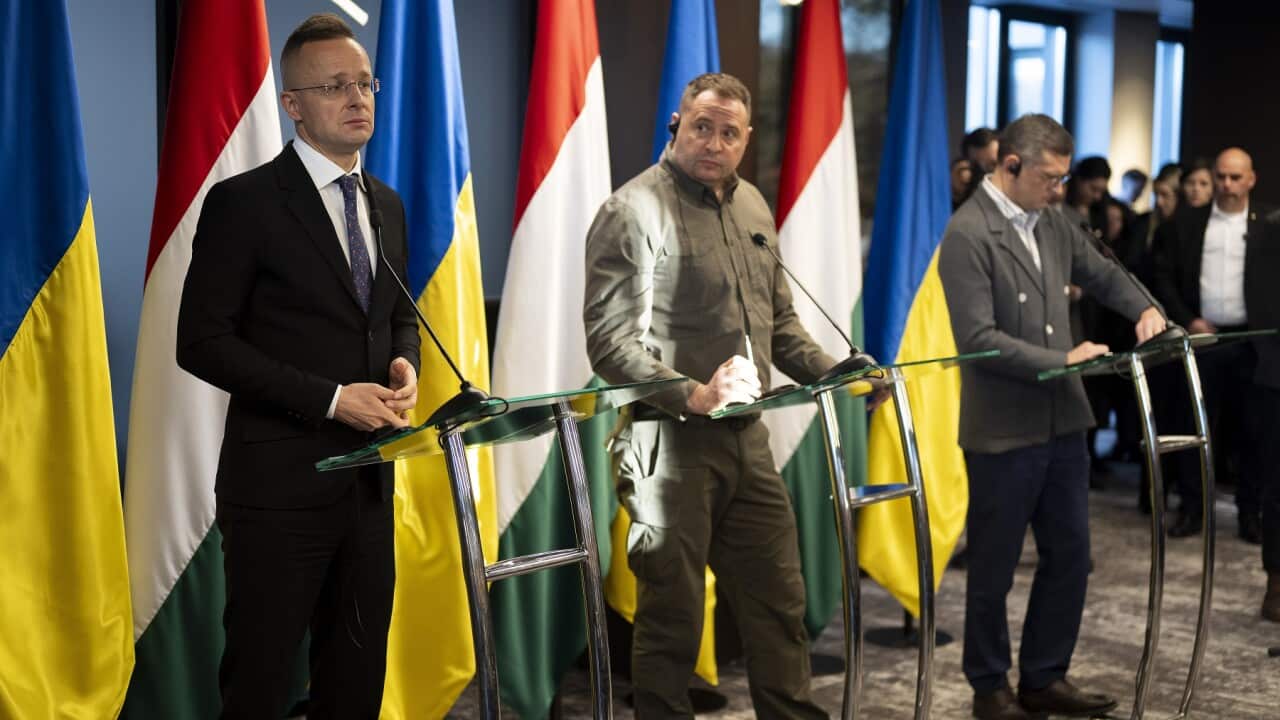 Ukraine Hungary Foreign Ministers