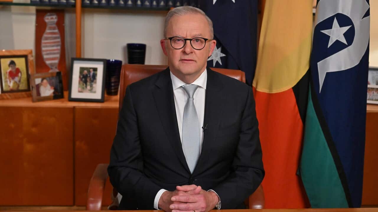 ANTHONY ALBANESE NATIONAL BROADCAST