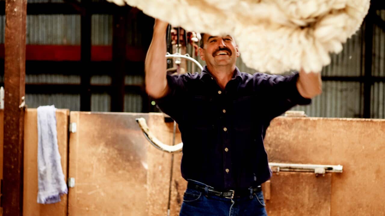 Shearing season, Lally family