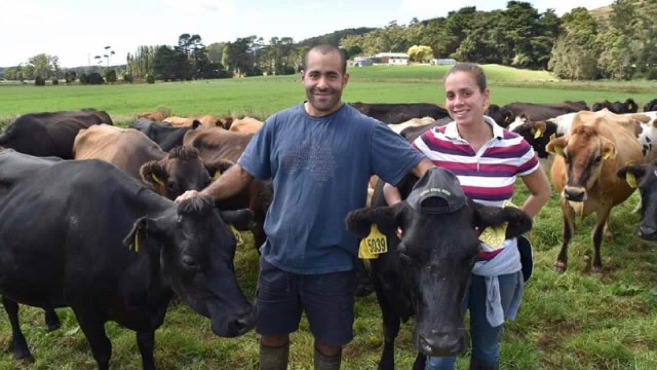 Genaro y Rosselyn Velázquez, en la finca de Edith Vale en Tasmania.