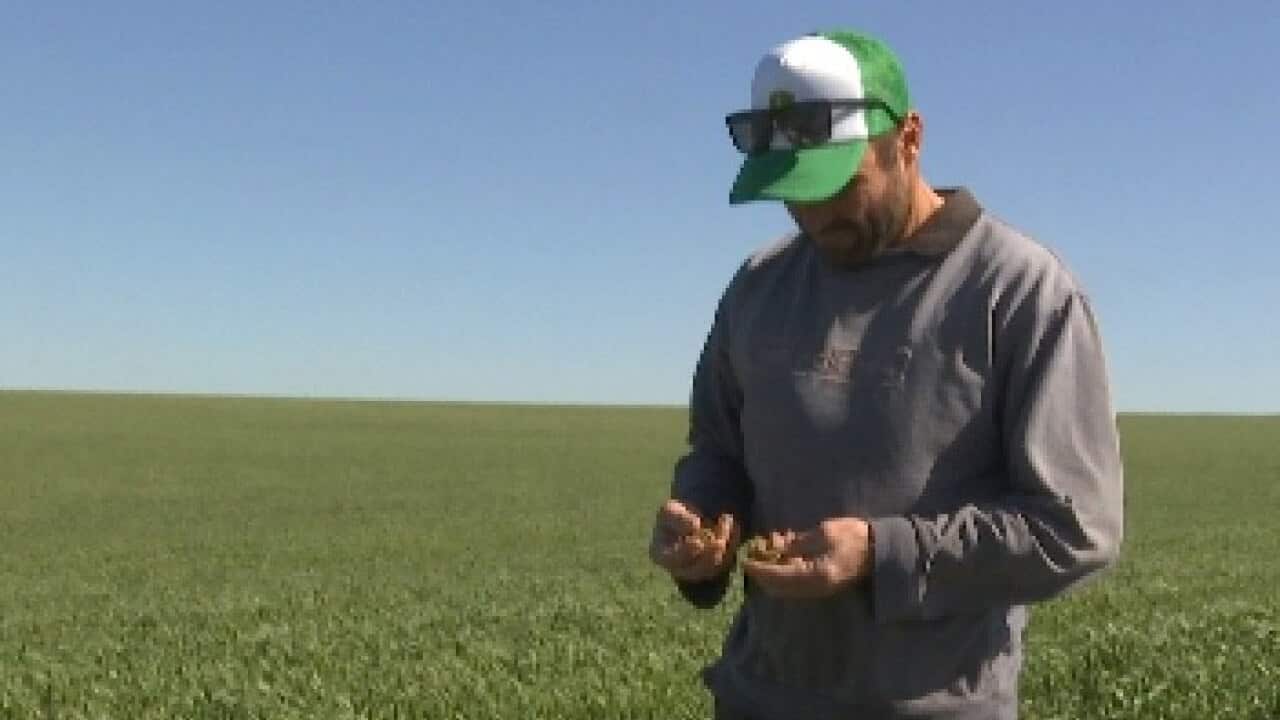 Image for read more article 'Xem thêm'