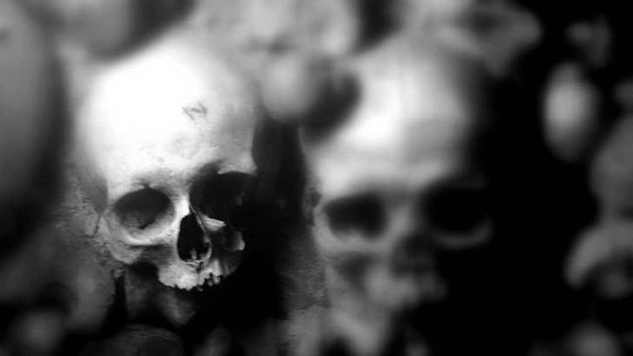 Photo by Hans van den Berg.