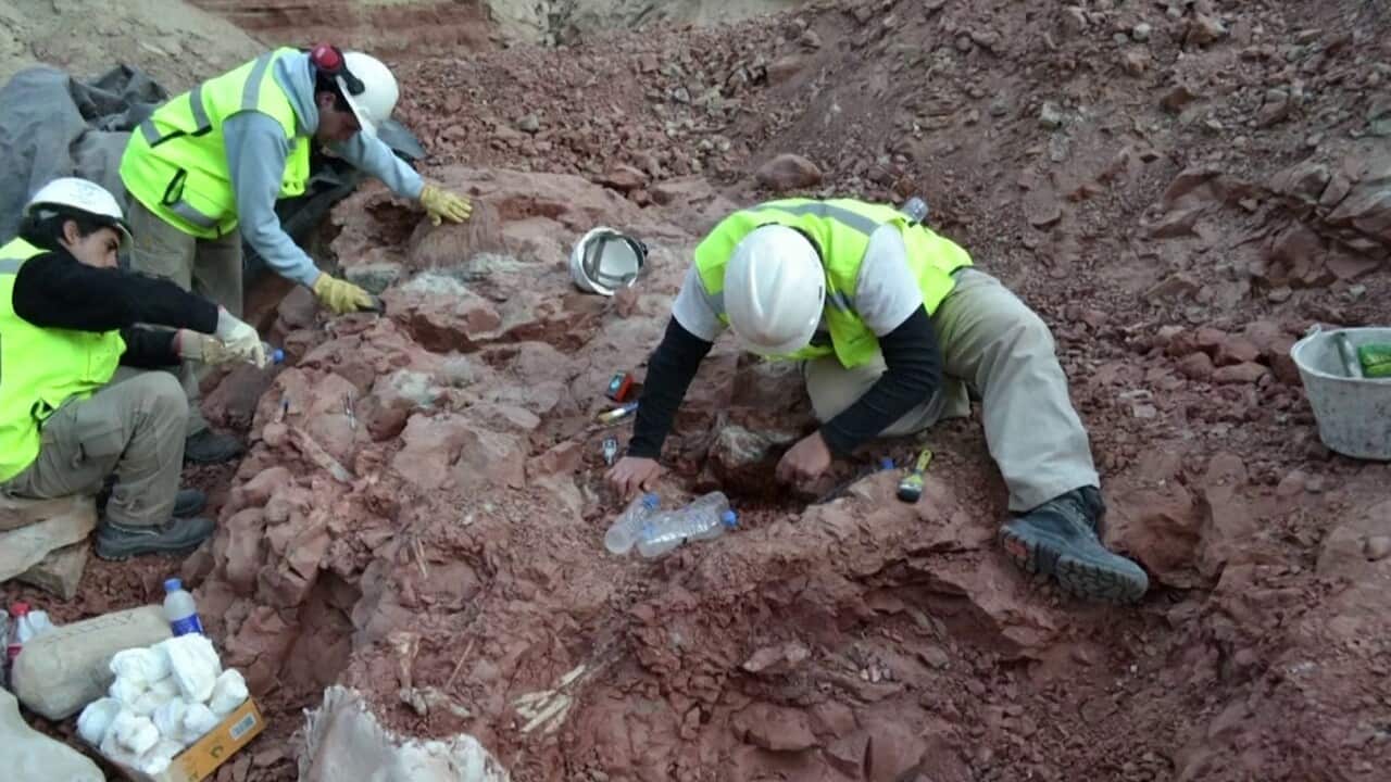 Researhers working on the Thanatosdrakon fossil