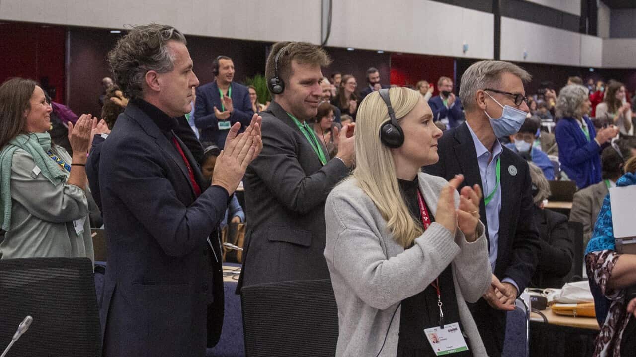 Delegates applaud at the COP15 conference in Montreal